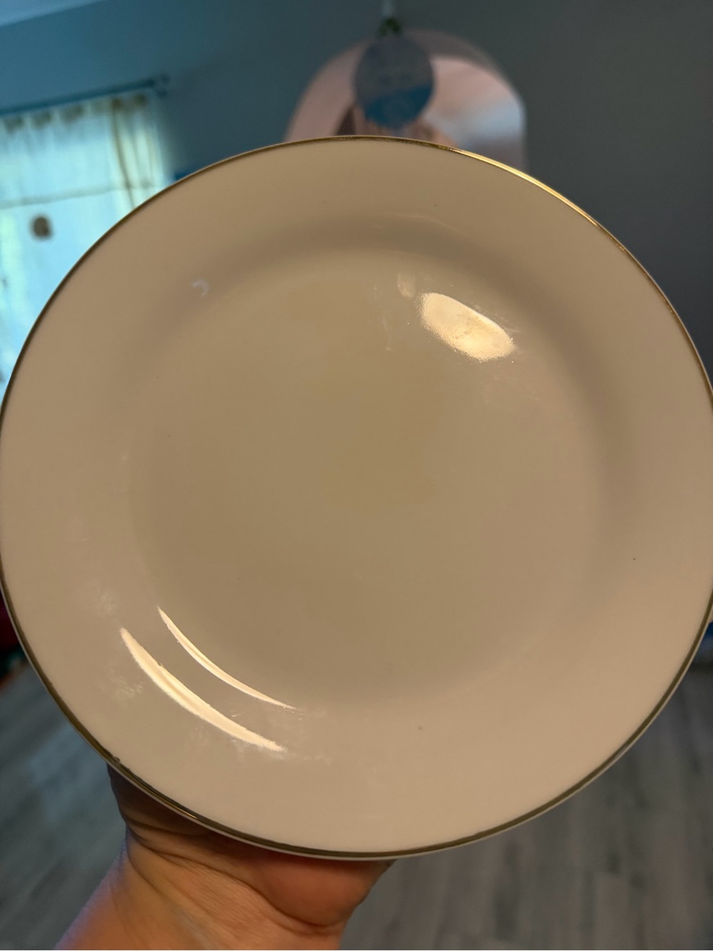 Classic White Dinner Plate with Gold Rim - Unbranded